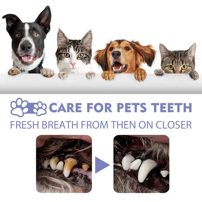 🍃NO BRUSHING oral care spray for dogs cats